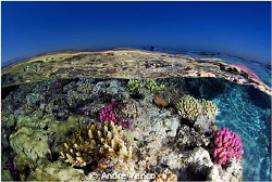 It was the end of a very nice dive in Tiran and everybody... by Andre Yanco 